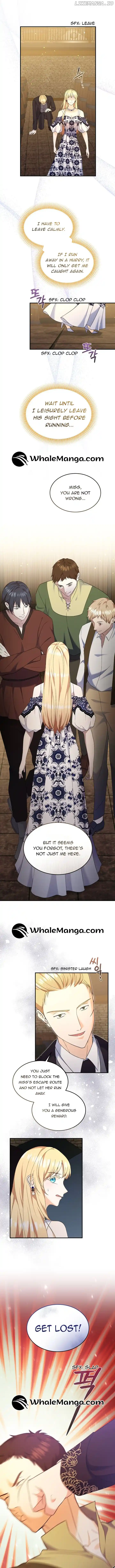 Chapter 17